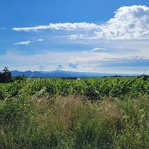 Le Willow Châteauneuf-du-Pape